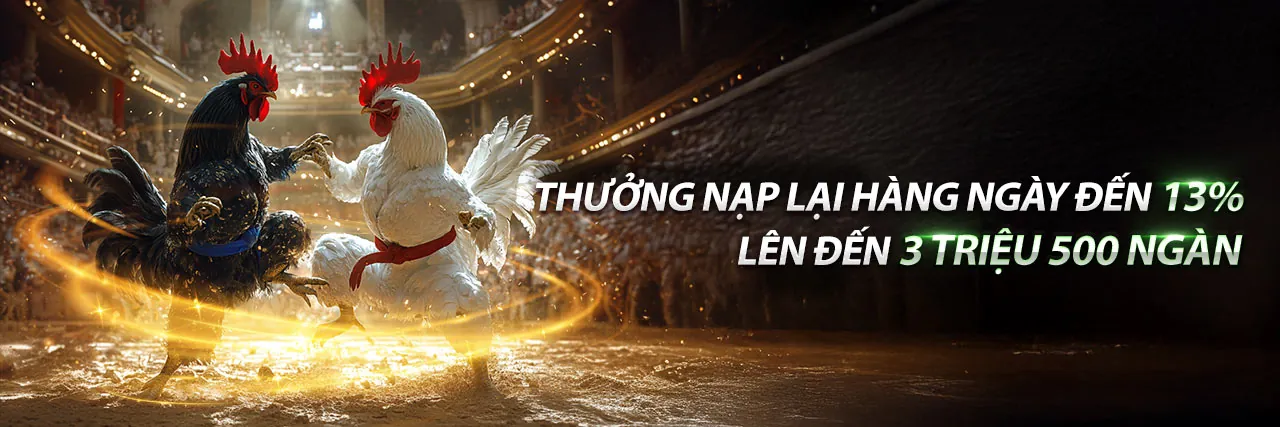 6FF4 Khuyến Mãi Hấp Dẫn Nhất
